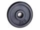 Peso del disco de hierro fundido 2 Kg 25 mm negro